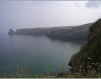 View towards Trevalga / Boscastle