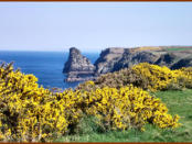 View towards Trevalga from Bossiney