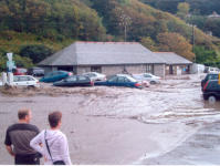 Car park cars