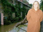 Flooded Cottages