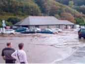 Car park cars