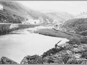 Crab Pots 1894