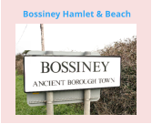 Bossiney Hamlet & Beach