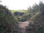 The Church Can Be Seen From The Path