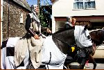 Three Horses Lead The Procession