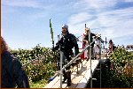 Striding Across The Bridge To Battle