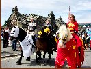 Three Fine Colourfull Horses