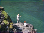 Look Out Fish!