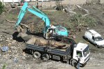 Tree Being Lifted On To a Lorry