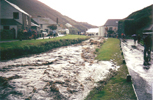 Harbour Starts To Flood...Visitors Unconcerned