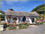 The Famous Pixie Shop