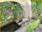 The Water 'Dispenser'