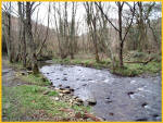 The Valency River In Boscastle