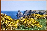 Lovely View Towards Boscastle
