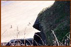 Laughing Rock At Bossiney Beach