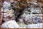 A Pool By A Cave Entrance