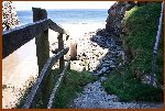 Descent To Bossiney Cove