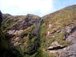 Stream Flowing To The Beach