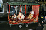 Whitstone Carnival Queen & Attendants