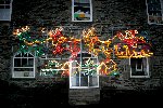 Lovely Display Outside The Town Hall