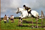 Hobknob with Jo Deadman Clears The fence