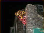 The Flowers Still Blooming At Tintagel