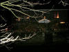 Branches Of The Trees Add To This Display