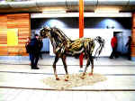 Janes Horse at Eden 2001