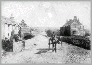 Digging Potatoes At Trebarwith 1942