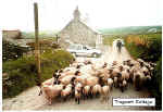 Tregeath Cottage, Tintagel