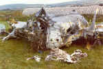 Part Of The Crashed Hawker Hunter