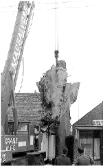 The Wreckage Is Removed By Crane