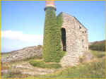 The Vine Wraps It's Way Round The Chimney