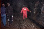 My Three Companions Lead The Way