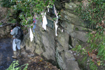Area Where Carvings Are Undamaged