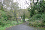 Path Leading Down