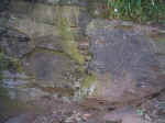 Engraving On The Rock