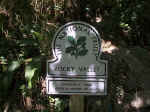Rocky Valley Signpost