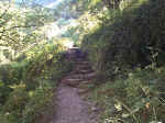 The First Few Steps