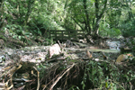 Next Wooden Bridge