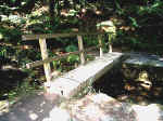First Wooden Bridge