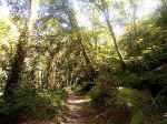 The Path Goes Onwards