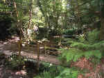 Wooden Bridge-A Pretty View