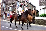 Horses Lead The Way