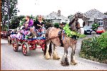 Horse and Cart