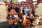 Tiggerhouse