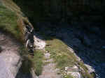 The Old Steps To The  Beach--Soon To Be Repaired