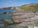 Sun Bathing On The Big Rock