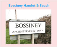 Bossiney Hamlet & Beach