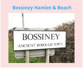 Bossiney Hamlet & Beach